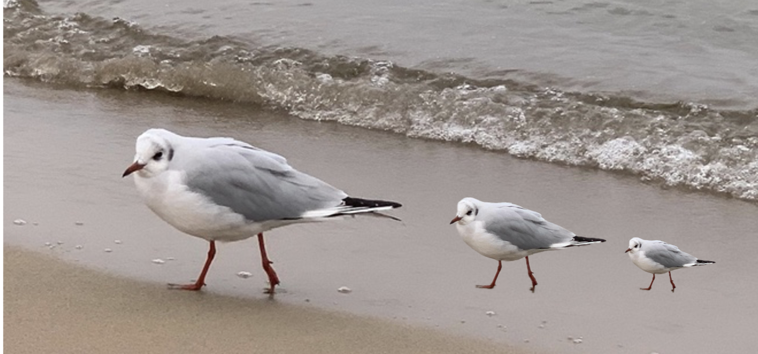 Geschützt: Da waren es nur noch 3